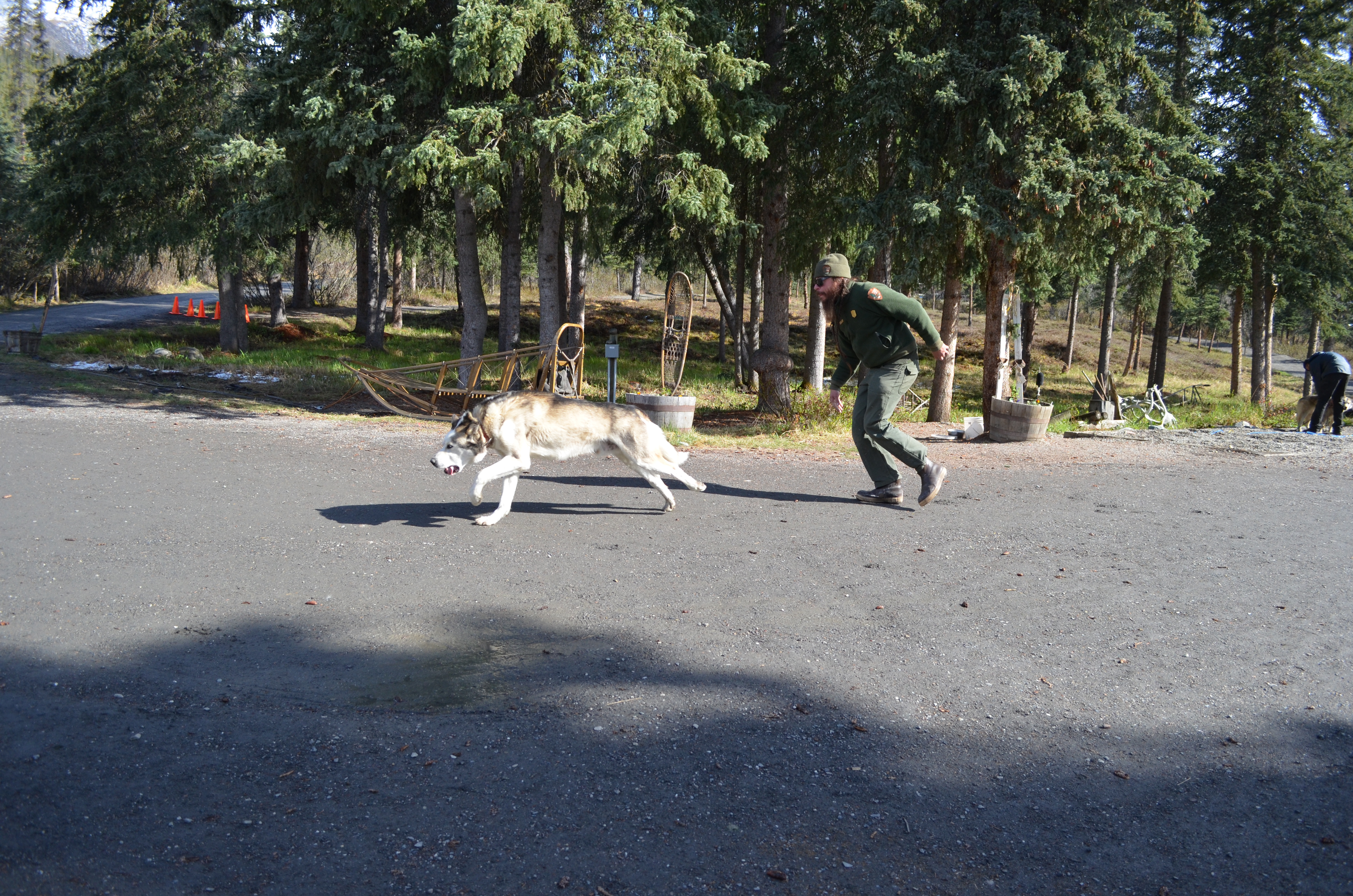 ./2017/08 - Alaska Cruise/03 - Denali/DSC_0277.JPG
